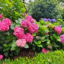 작은막공원 이미지