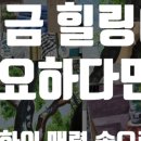 그리밍고아트미술학원