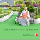 한국불교대학관음사 이미지