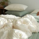 헬로우 주어 | 내 침실을 포근한 행복으로 채운, 헬로우슬립 차렵이불 부드러운 카스테라 워싱 침구 SS 내돈내산 후기!