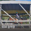 울산EDA승마장 | 울산 학생승마체험 지원사업 EDA승마장 수업후기