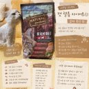 본헤어랜드 | 구토, 무른변 고민 있는 고양이 사료 찾다가 급여해본 내추럴 우드랜드 캣 렐름 다이어트 후기🐱