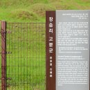장승리 고분군 이미지