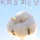 (주)연분홍프로덕션 이미지