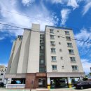 돈키호테공인중개사사무소 이미지