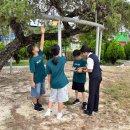 적중초등학교 이미지