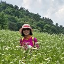 고개너머 이미지