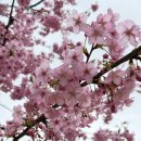 이온호텔 이미지