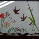 부천부흥중 이미지