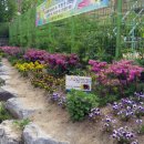 코스모스아파트경로당 이미지