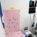 이쁘면다냥 | 수원 고양이미용 추천 이쁘면다냥, 사나운 고양이 엉킨털 미용 리얼후기