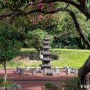 제주 불탑사 오층석탑 이미지