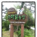 정수선농장 네이버블로그
