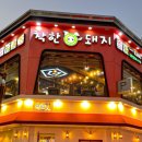 올리브안경갤러리 이미지