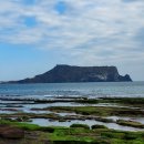 성산일출봉 Daum카페
