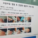 살롱드소피 - 142381 | 살롱드소피
