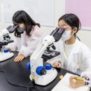 국립부산과학관 어린이과학관 이미지