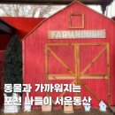 포천파크레스토랑 | 포천 가볼만한곳 서운동산 겨울 동물 먹이주기 체험