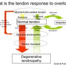 무브피티 이미지