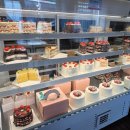 삼익피아노 홀 | 맛집 _ 창원 중앙동 케이크 맛집 홀케이크 주문도 가능한 카페 우나돌체