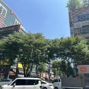(주) 보이드소프트 | 분당] 준오헤어 수내역1호점 / 분당 수내역 남자 컷트 / 수내역 수내동 미용실 / 준오헤어 디자이너 추천