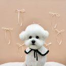 러블리댕 이미지