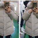 에이폭스디자인 이미지