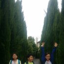 진우수지 이미지