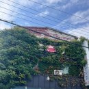 호성식당 이미지