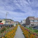 그린웨이 이미지