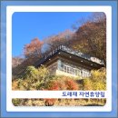 밀양도래재자연휴양림 | 말티재자연휴양림과 비슬산자연휴양림에 이은 경남 밀양 도래재 자연휴양림 방문 후기