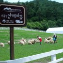 대두목장 이미지