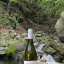 에이치블랑(H.BLANC) | 여자들이 좋아할만한 가성비 여름 스위트 화이트와인 &lt;그린 베이 소비뇽블랑&gt;