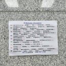 뉴이음공인중개사사무소 이미지