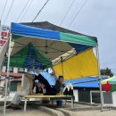 유정민박 이미지