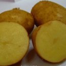 감자 재배 방법(유기농) 이미지