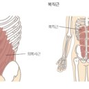 라온휘트니스PT 이미지