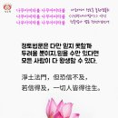 《인광대사법어》약강 -정종법사 강의- 만약 믿을 수만 있다면 쉽게 반드시 필히 즉시 모두 왕생합니다 오늘도 일향전념 나무아미타불 이미지