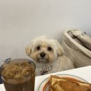 강감찬카페라온