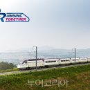 네팔 코리아 투어