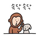 화의기억 이미지