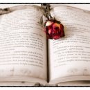 청라국제도서관 이미지