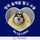 언제나동물병원