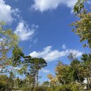 노르디스크 군산점 | 10월일상 1.열심히 캠핑다니고 일하고 놀았다!