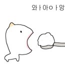 매머드익스프레스대전 - 중구 중교로 29 | 매머드익스프레스대전