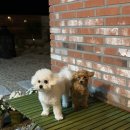 스테이태봉 이미지