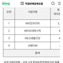 인셀덤송악