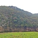 울주 대곡리 반구대 암각화 이미지