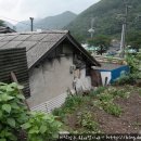 소나무안경 Daum카페