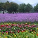 용대관광지 이미지